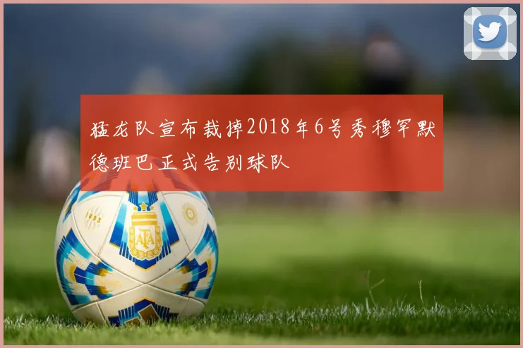 猛龙队宣布裁掉2018年6号秀穆罕默德班巴正式告别球队