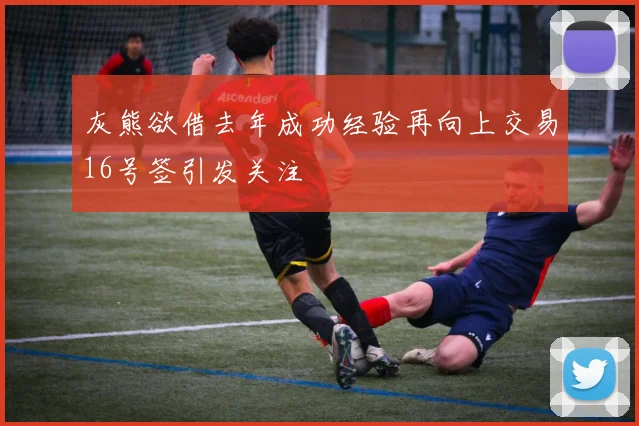 灰熊欲借去年成功经验再向上交易16号签引发关注