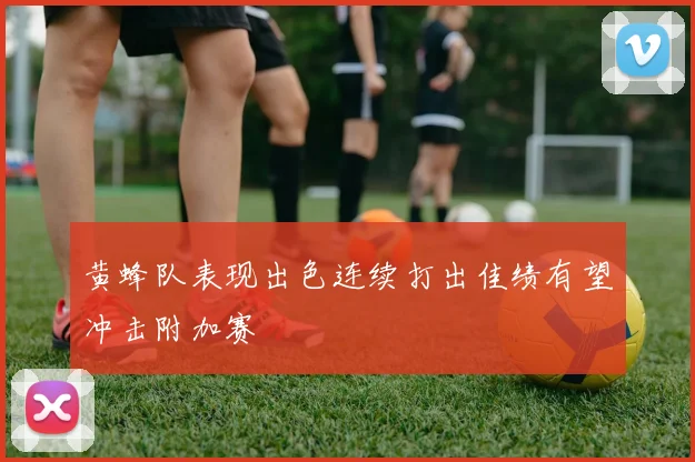 黄蜂队表现出色连续打出佳绩有望冲击附加赛